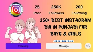 250+ Best Instagram Bio In Punjabi For Boys & Girls 2024 | Copy & Paste