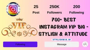 700+ Best Instagram Vip Bio Stylish & Attitude 2024