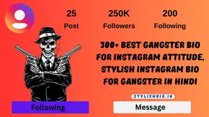 300+ Best Gangster Bio for Instagram Attitude, Stylish Instagram bio for gangster in hindi