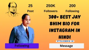 Best Jay Bhim Bio For Instagram In Hindi