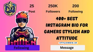 Best Instagram Bio For Gamers Stylish and Attitude