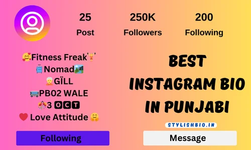 Best Instagram Bio In Punjabi