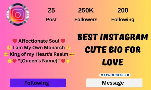 Best Instagram Cute Bio For Love