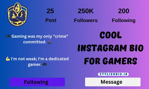 Cool Instagram Bio For Gamers