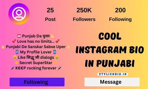 Cool Instagram Bio In Punjabi