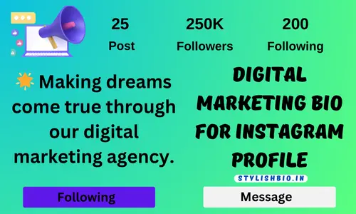 Digital marketing Bio for Instagram  Profile