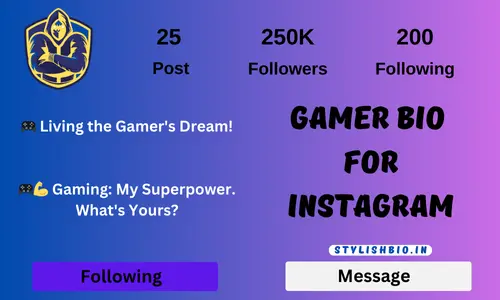 Gamer Bio For Instagram