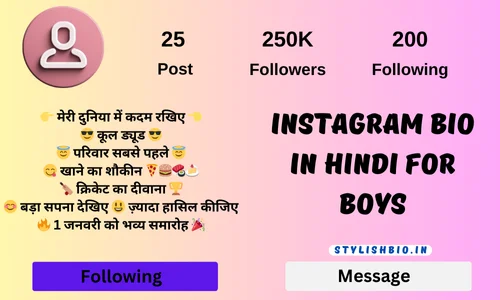 Instagram Bio In Hindi For Boys