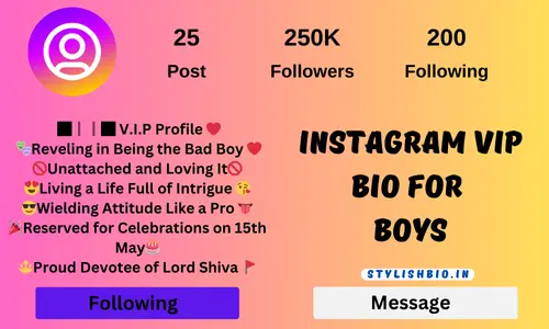 Instagram VIP Bio For Boys