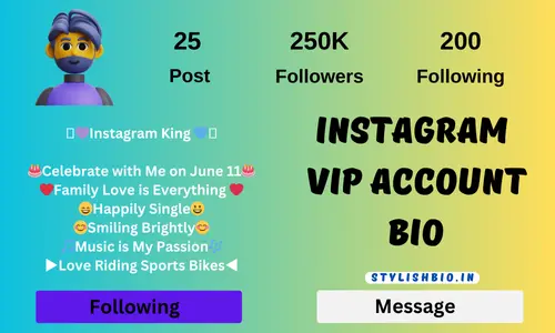 Instagram Vip Account Bio