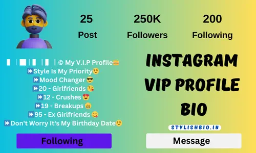 Instagram Vip Profile Bio