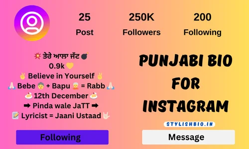 Punjabi Bio for Instagram