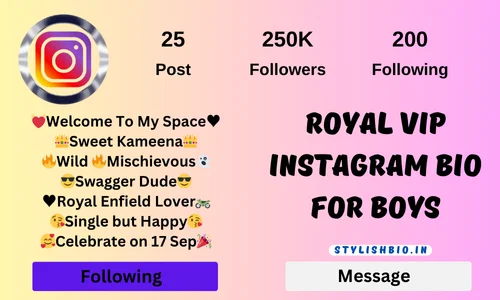 Royal Vip Instagram Bio For Boys