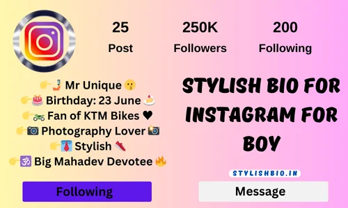 Stylish Bio for Instagram for boy