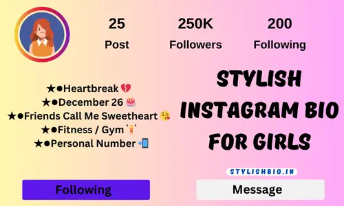 Stylish Instagram Bio For Girls