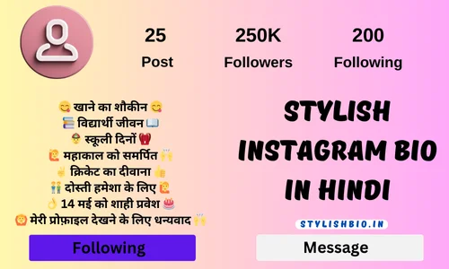 Stylish Instagram Bio In Hindi