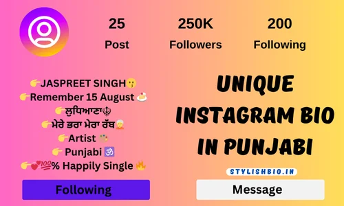 Unique Instagram Bio in Punjabi