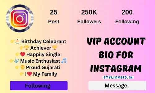 Vip Account Bio for Instagram