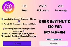 dark aesthetic bio for instagram