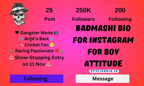 Badmashi Bio For Instagram For Boy Attitude