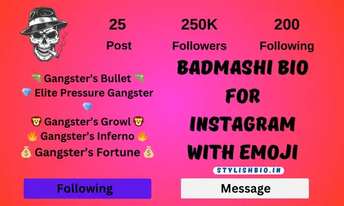 Badmashi Bio For Instagram With Emoji