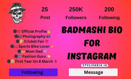 Badmashi Bio For Instagram