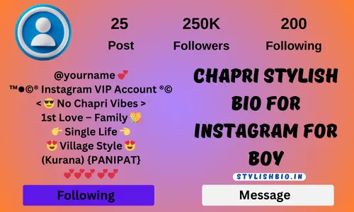 Chapri Stylish Bio For Instagram For Boy