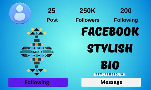 Facebook Stylish bio