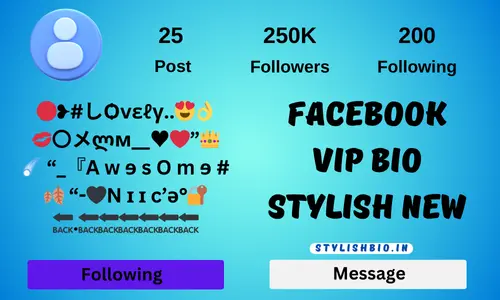 Facebook Vip bio Stylish new