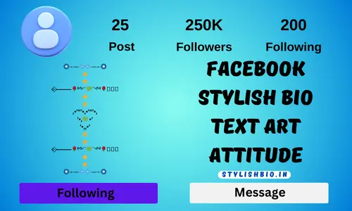 Facebook stylish bio text art attitude