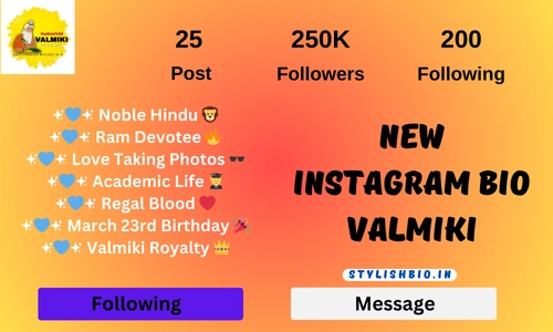  Instagram Bio Valmiki