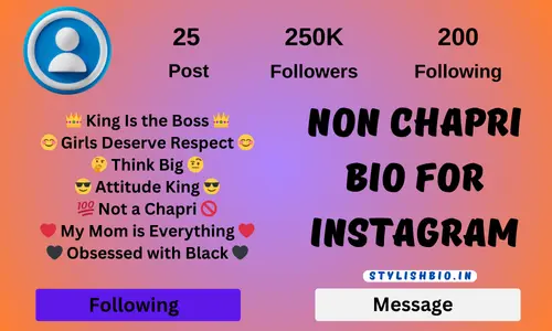 Non Chapri Bio For Instagram